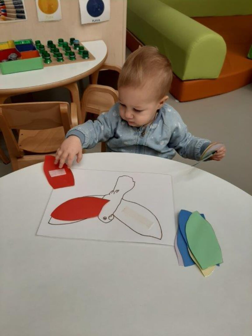 Projekt ptičica