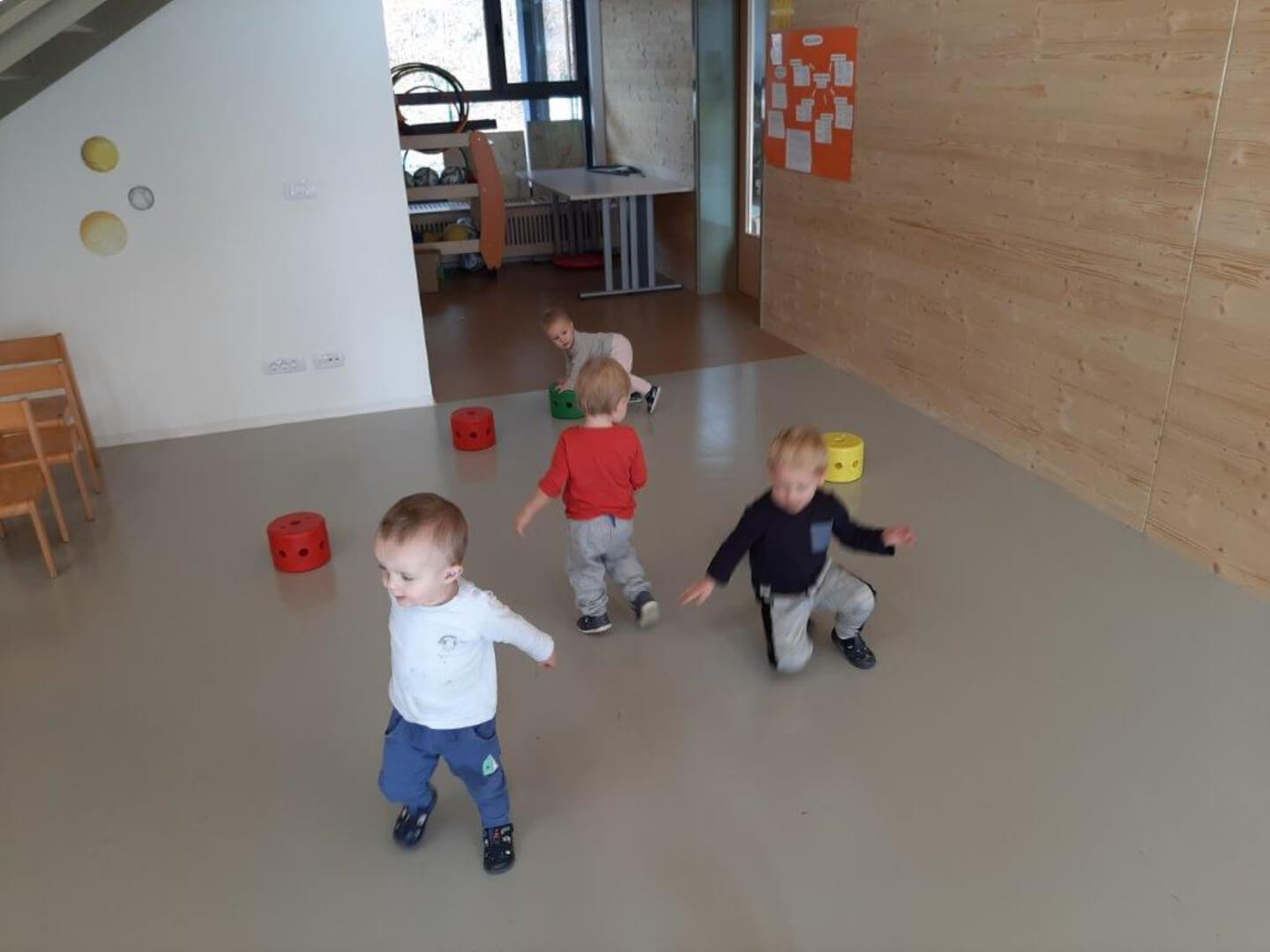 Projekt ptičica